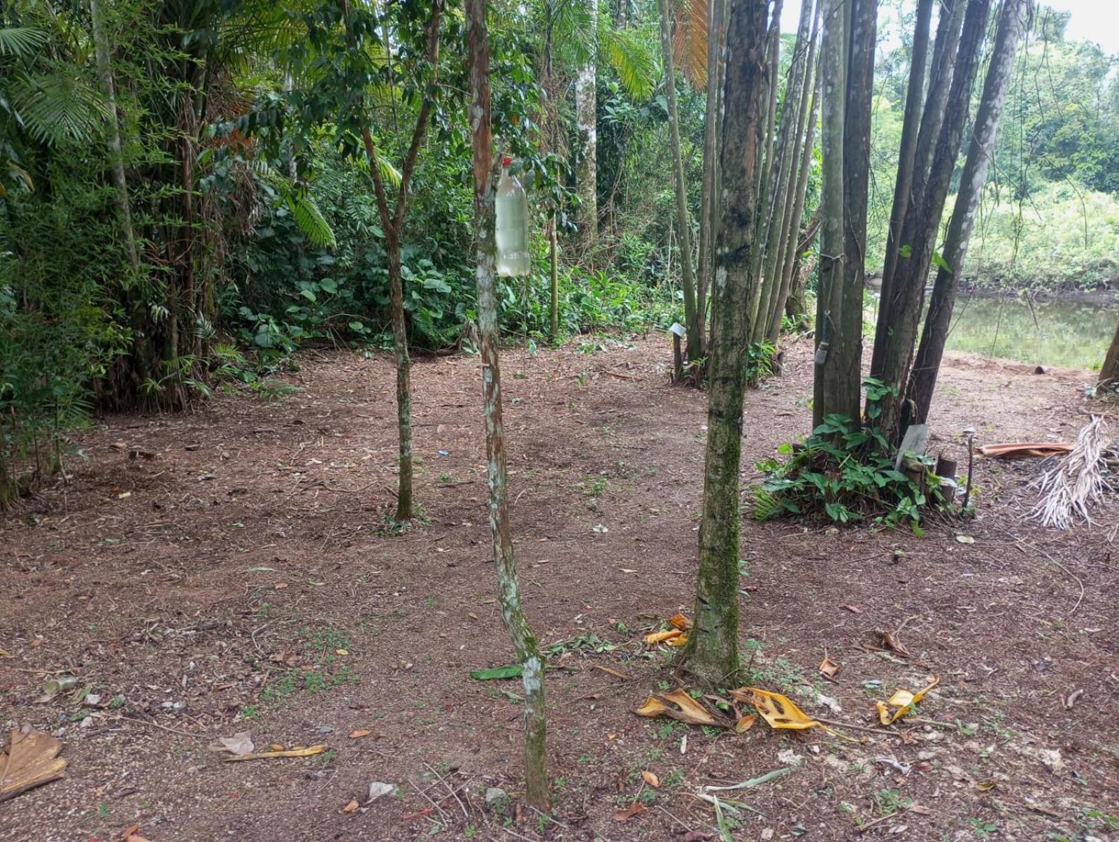Camping Monte Hermom Ubatuba Esterno foto